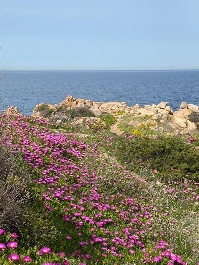 라마달레나 Casa Mughetto R5055 Seafront, Private Sea Access, Swimming Pool 빌라 외부 사진